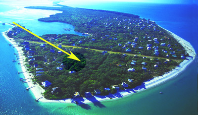 captiva real estate
